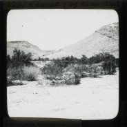 Böhl glass slide 58./1324